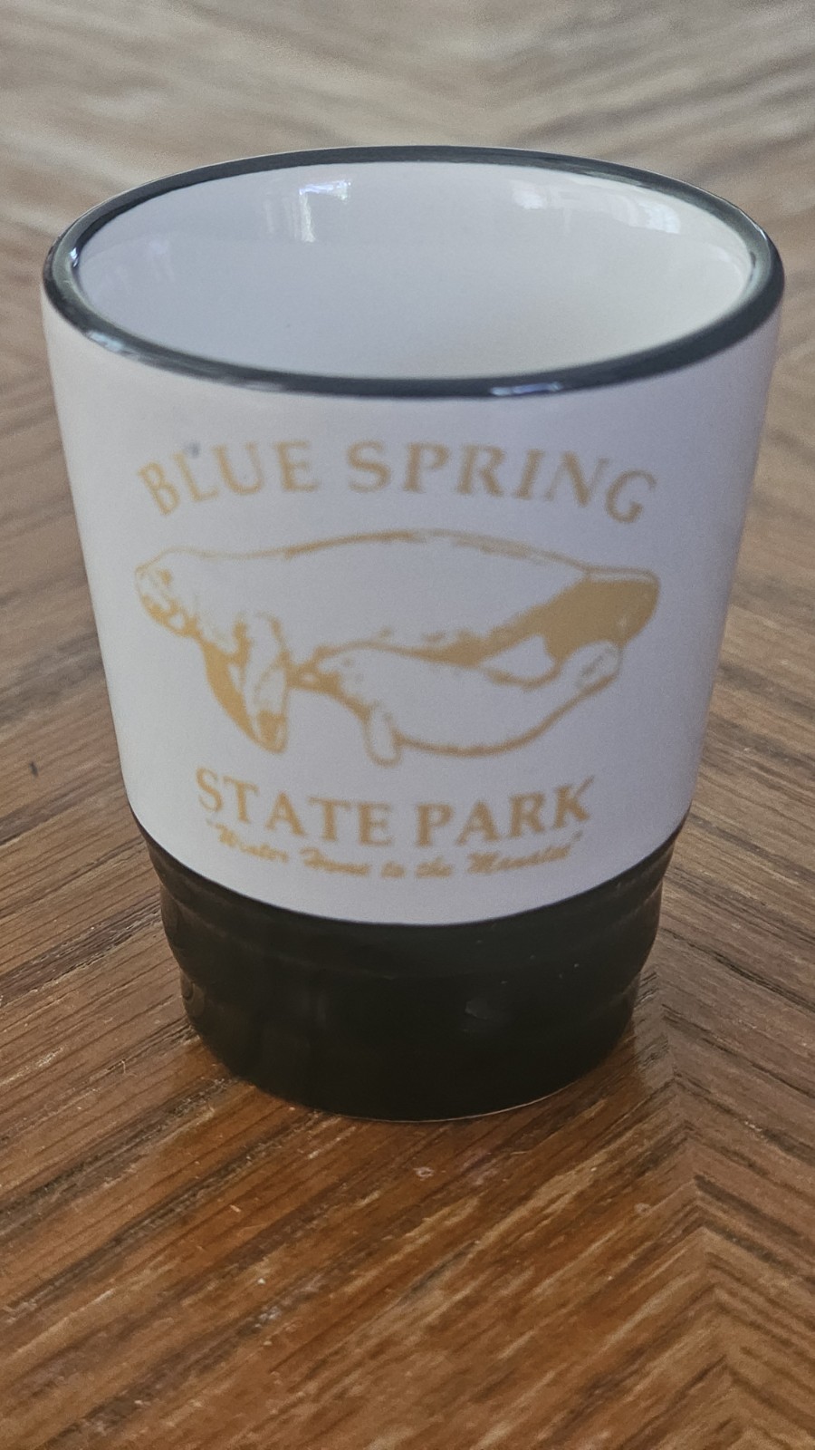 Blue Springs Vintage Shot Glass