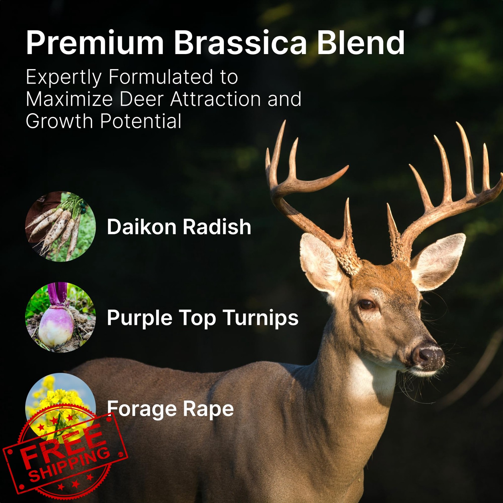 Hit List Seed Food Plot Seed 1 Acre 6 lbs