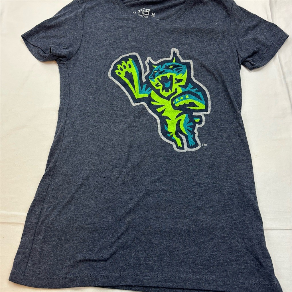 108 Stitches T-Shirt Mens M Gray MiLB Baseball Logo Graphic Tee