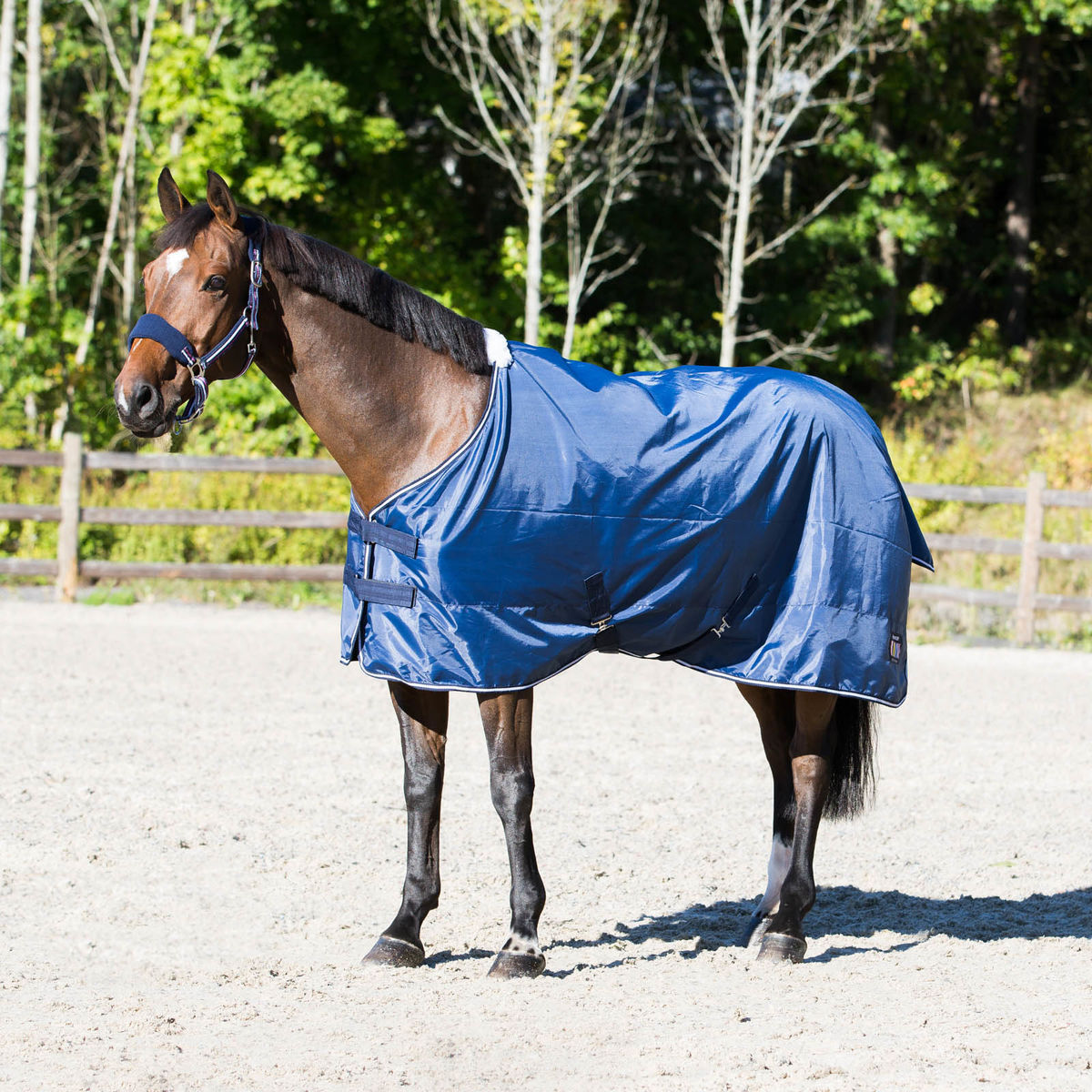 81" HORZE OAKLAND SUMMER SHEET