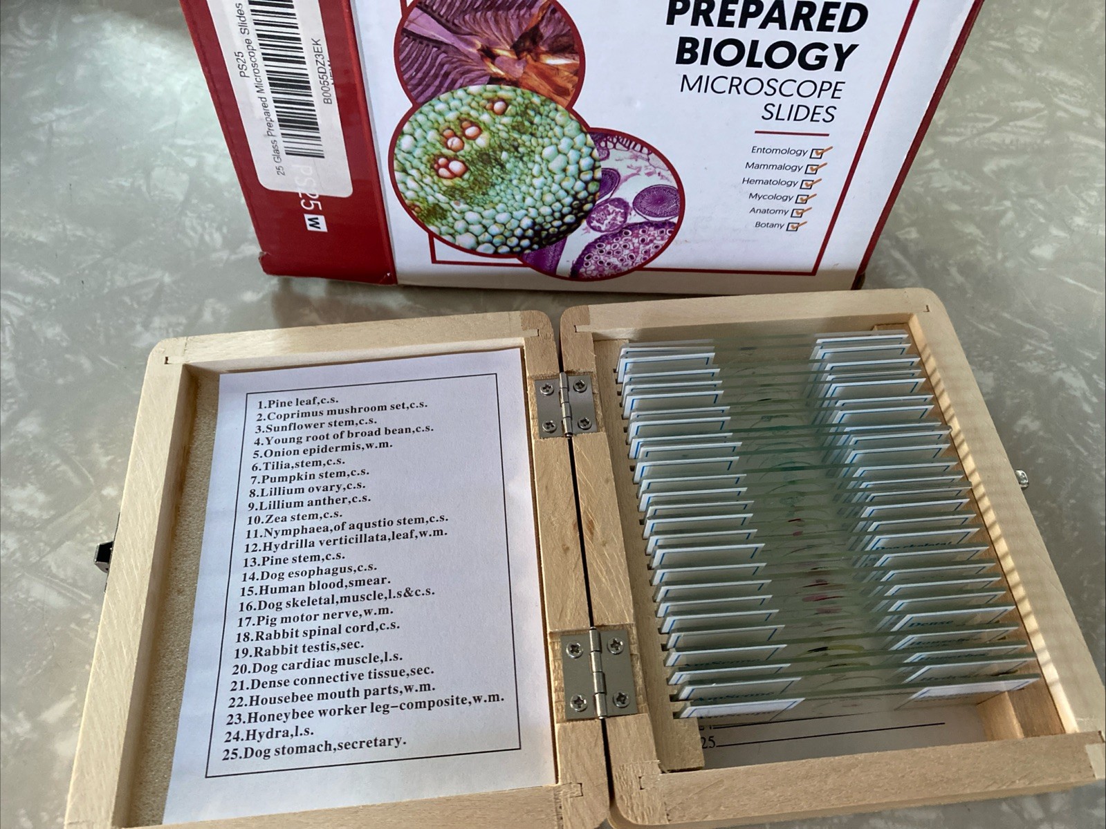 AmScope 25 Prepared Biology Microscope Slides with Wooden Case
