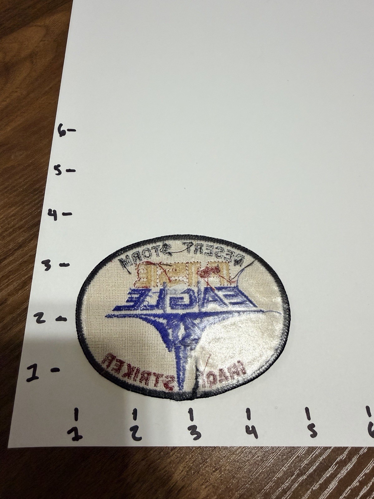 Desert Storm Patch F 15 E EAGLE IRAQI STRIKER COLOR NEW