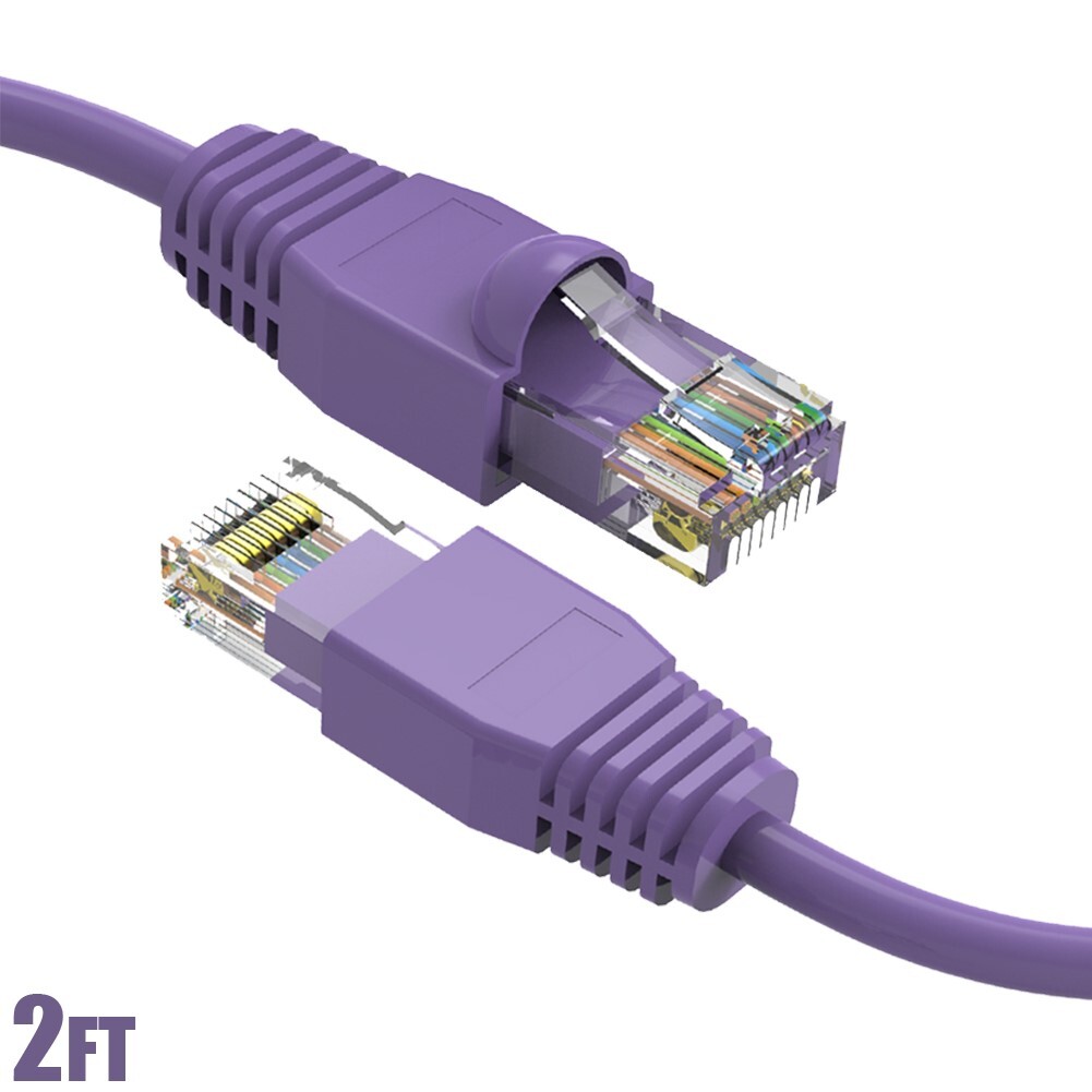 2FT Cat6A RJ45 Ethernet LAN Network Cable UTP Copper Wire Gold 24AWG Purple
