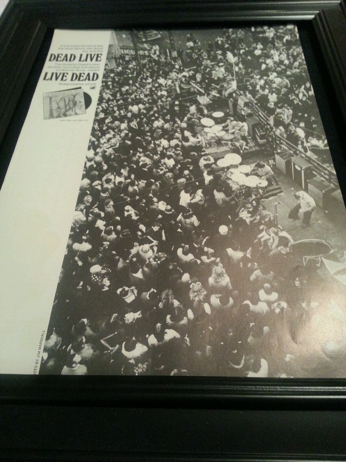 Grateful Dead Dead Live Live Dead Rare Original Promo Poster Ad Framed!