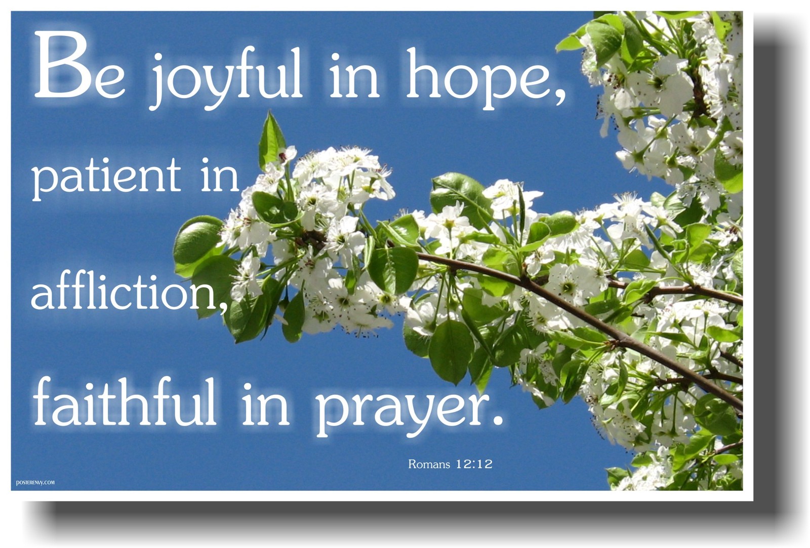 NEW Bible POSTER - Be Joyful in Hope, Patient in Affliction - Romans 12:12