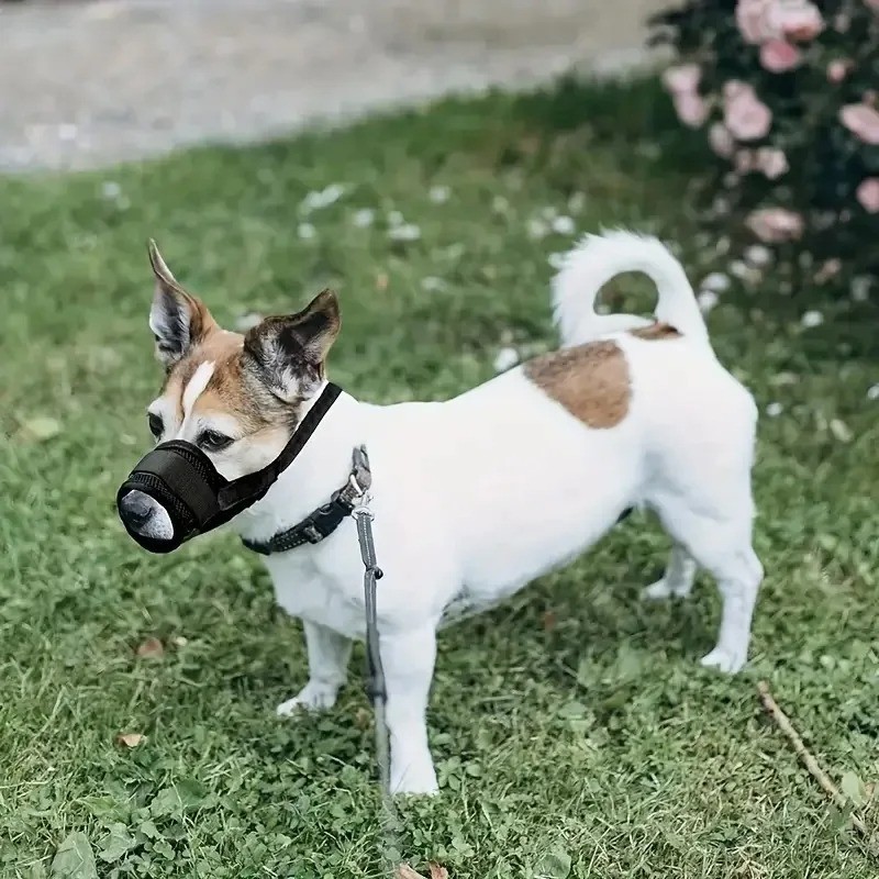 Dog Muzzle for Medium Large Dogs Soft Nylon Muzzle Adjustable Straps