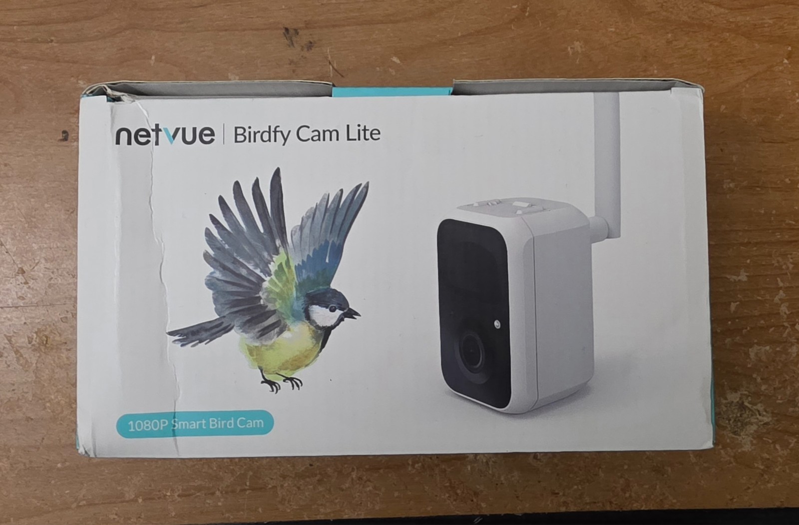 netvue bird cam lite