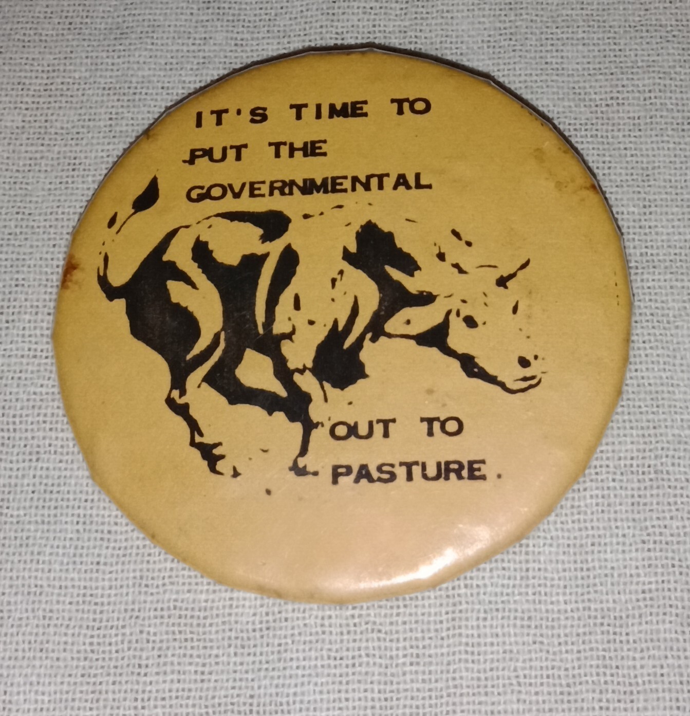 IT'S TIME TO PUT THE GOVERNMENTAL OUT TO PASTURE PINBACK PIN