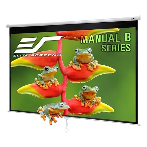 Manual B, 80-INCH Manual Pull Down 80 INCH Projector Screen White Case 16:9