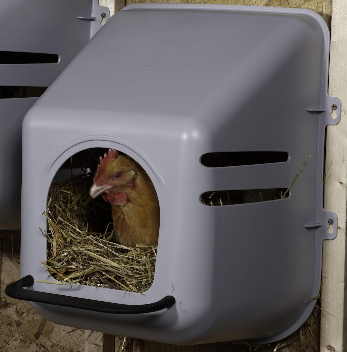 Little Giant Large Nesting Box Wall Mount Plastic Nesting Box