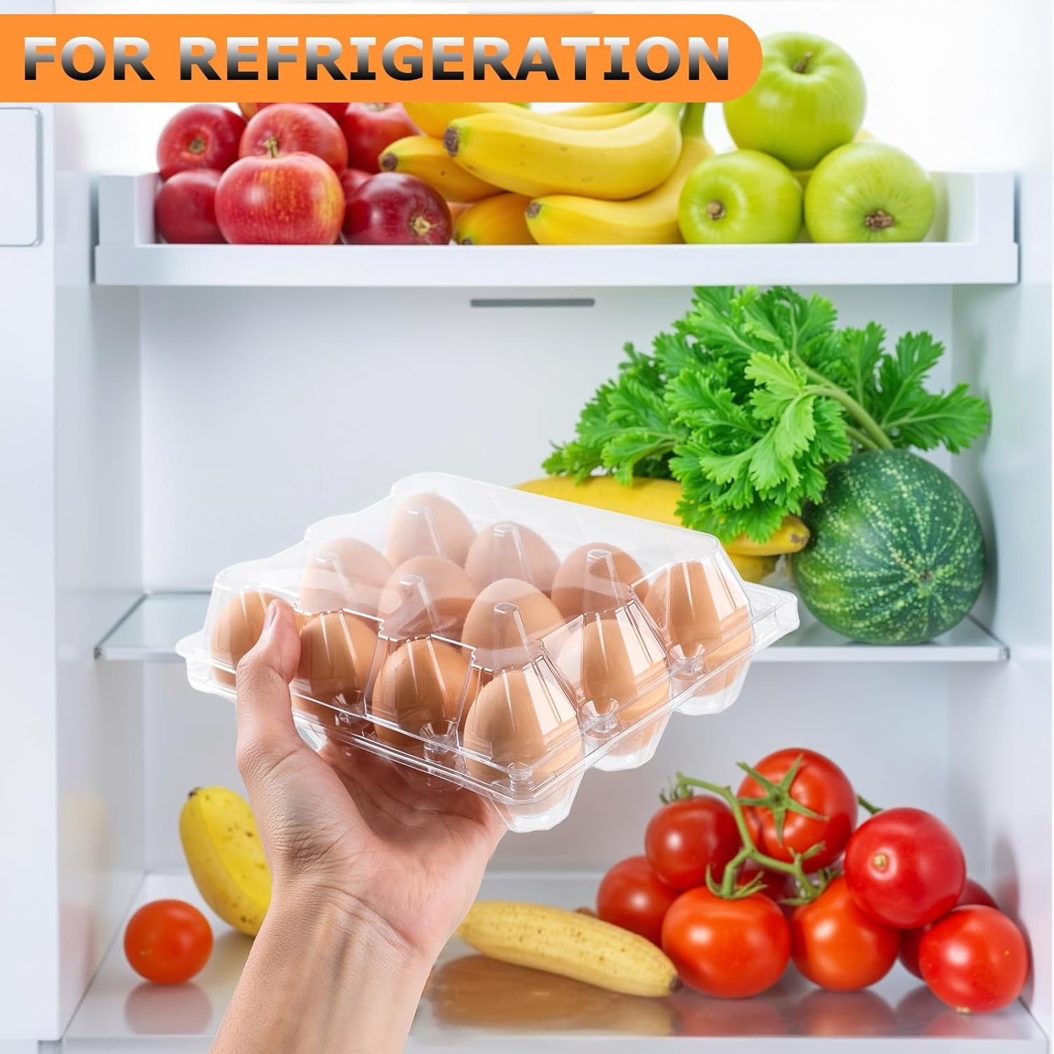 48 Pack Egg Cartons Cheap Bulk 12 Count, 1 Dozen Clear Empty Chicken Egg Cartons