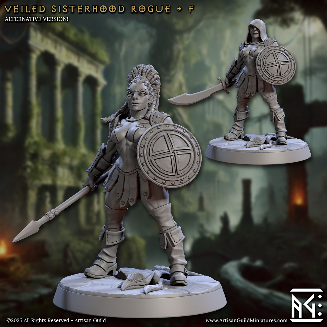 Sisterhood Rogue - Spear Sword Shield - Artisan Guild - Dungeons and Dragons