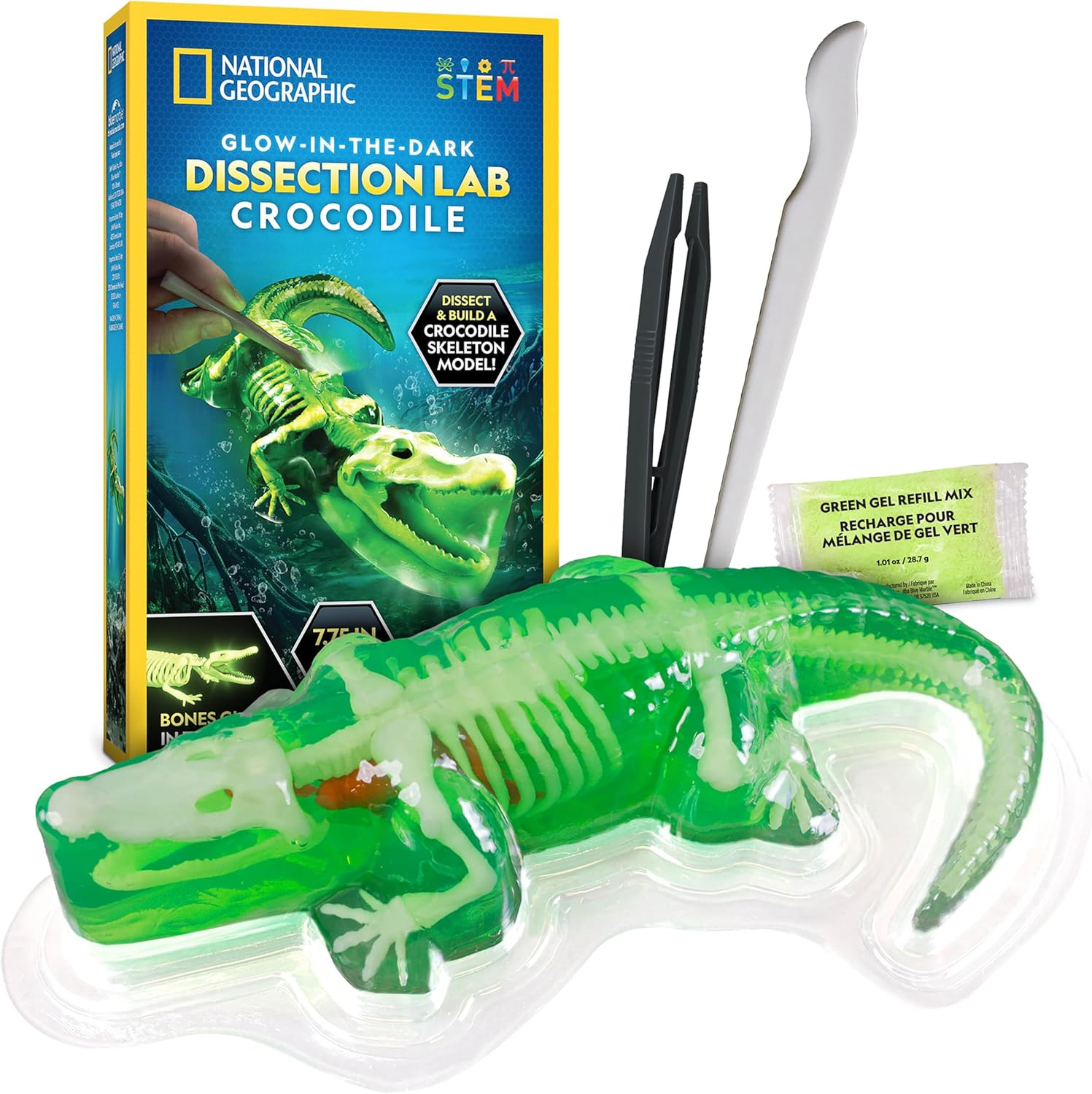 National Geographic Glow in the Dark Crocodile Dissection Lab Kit for Kids | 16