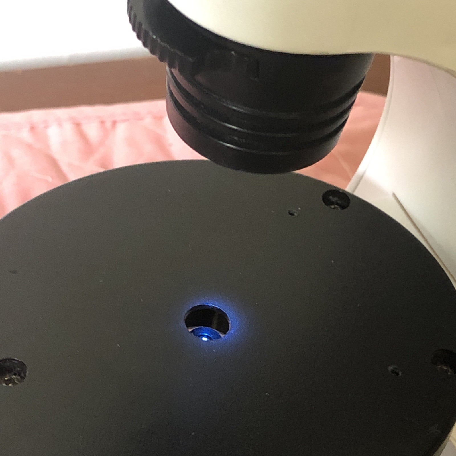 IQCrew Amscope TELMU Inverted Microscope