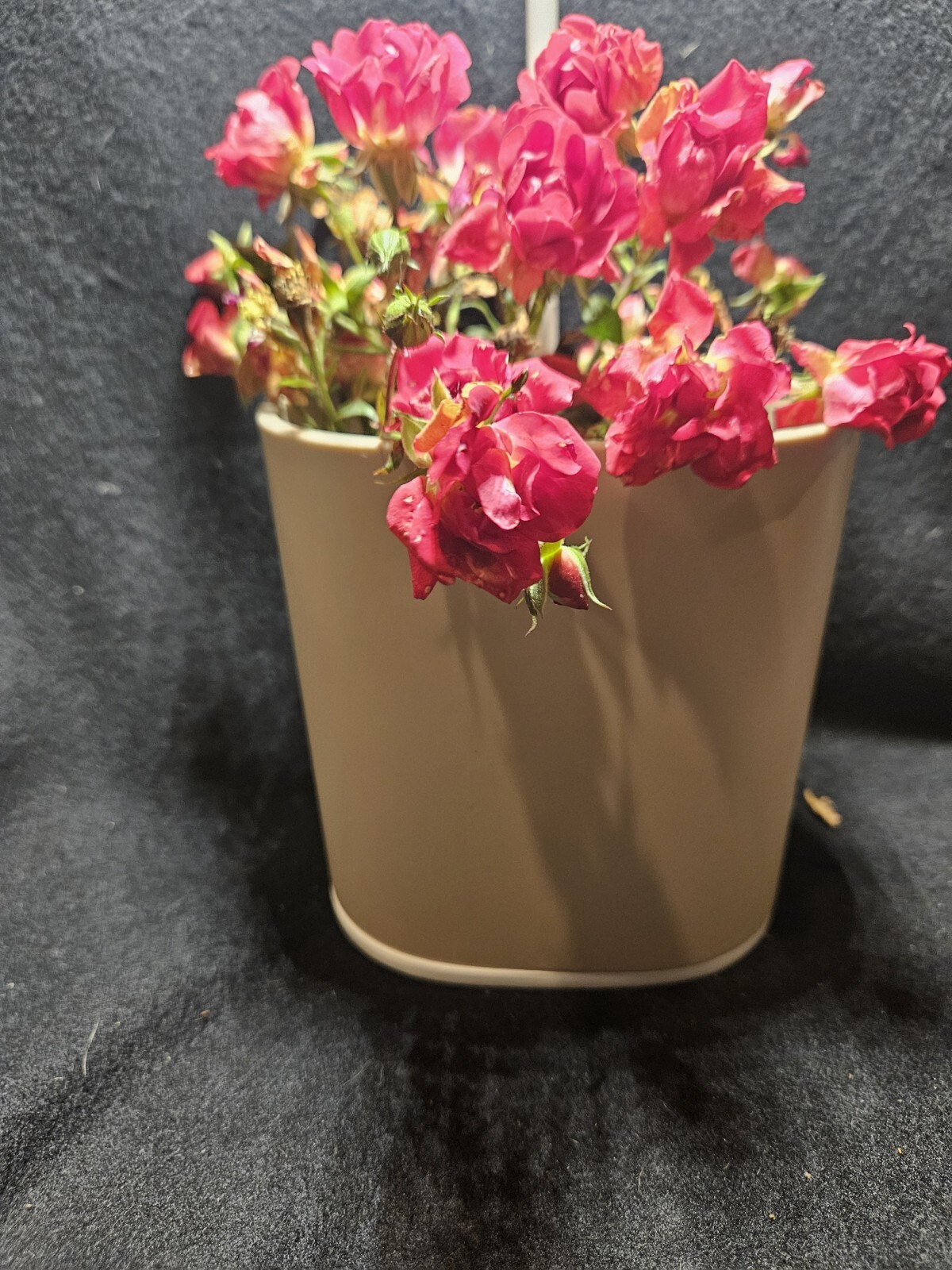 Pret A Pousser Nano Garden