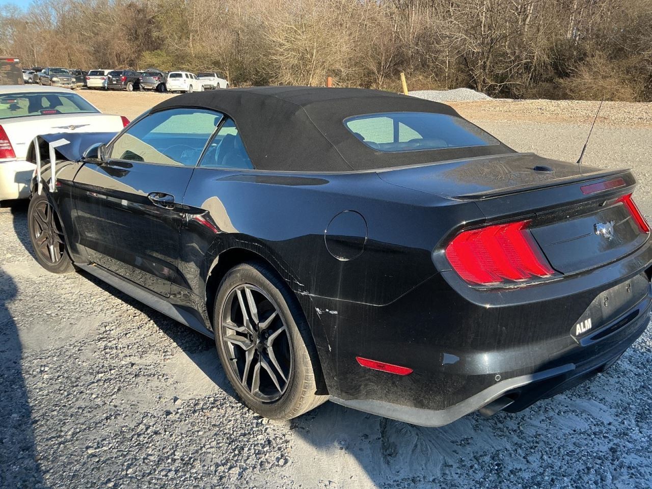 MUSTANG 2019 Glove Box 4926328