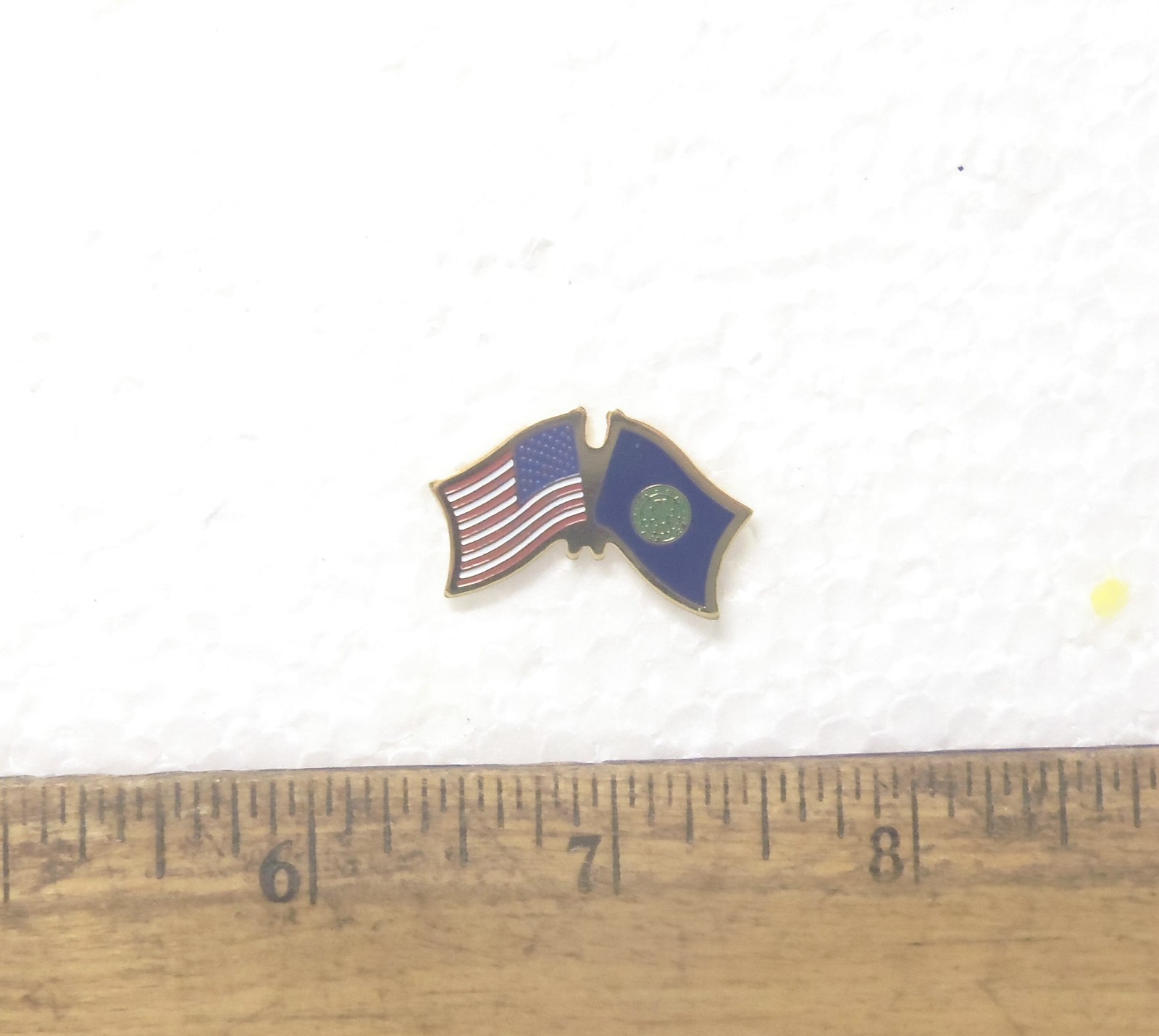 United States Flag with Nebraska Flag Pin