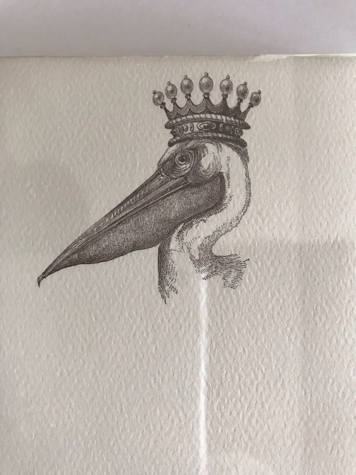 ALEXA PULITZER Illustrated Paper Long Notepad King Pelican
