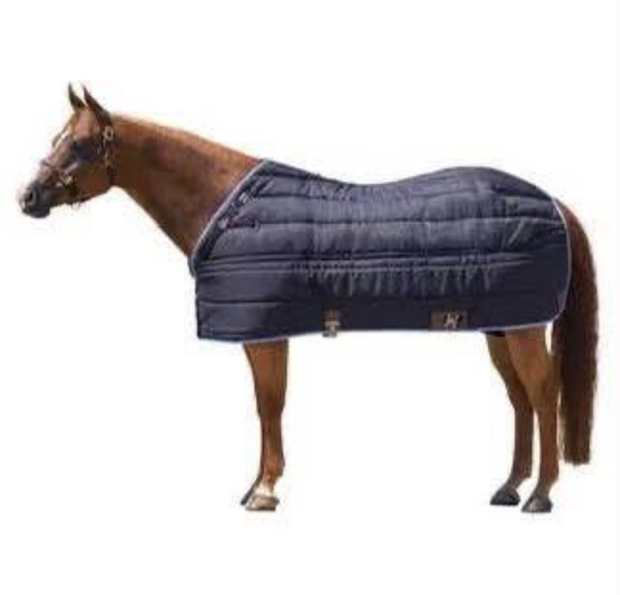 Schneiders Musta-Fit Techno Quilt V Free Stable Heavy Size 70