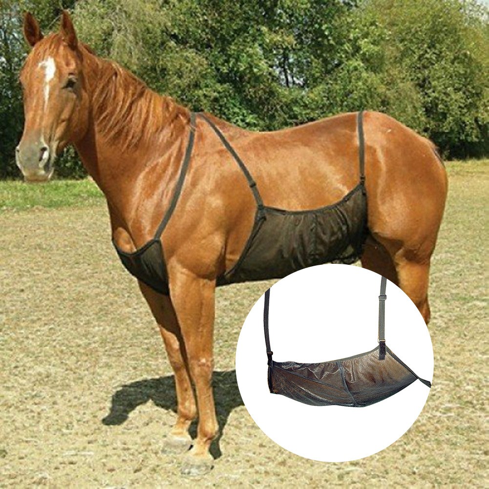 Black Fly Sheet Horse Abdomen Protective Cover Anti-scratch Mesh Net Protection
