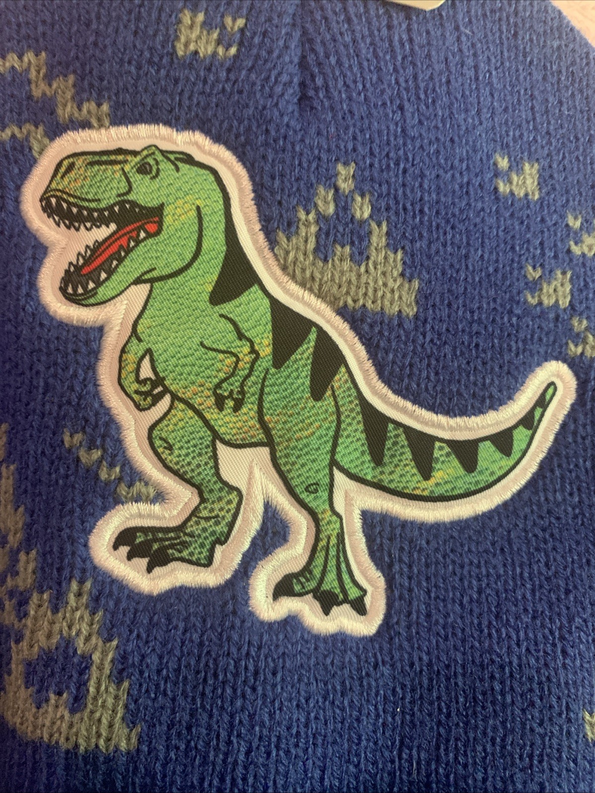 Boys Hat Glove One Size Dinosaur
