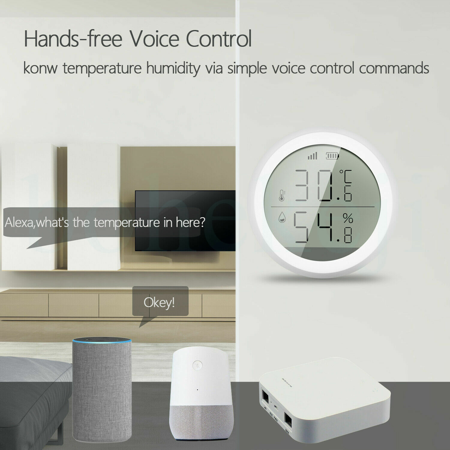Tuya ZigBee Smart Temperature And Humidity Sensor Celsius Work with Alexa CA