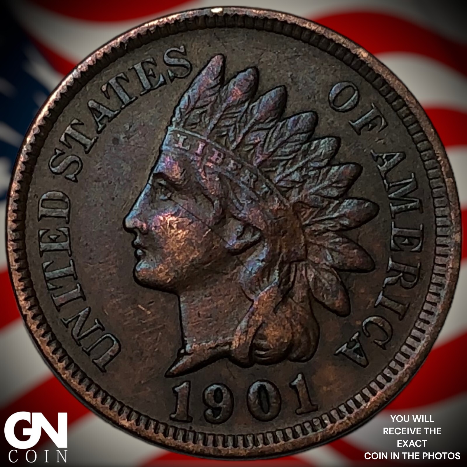 1901 Indian Head Cent Penny  M6171