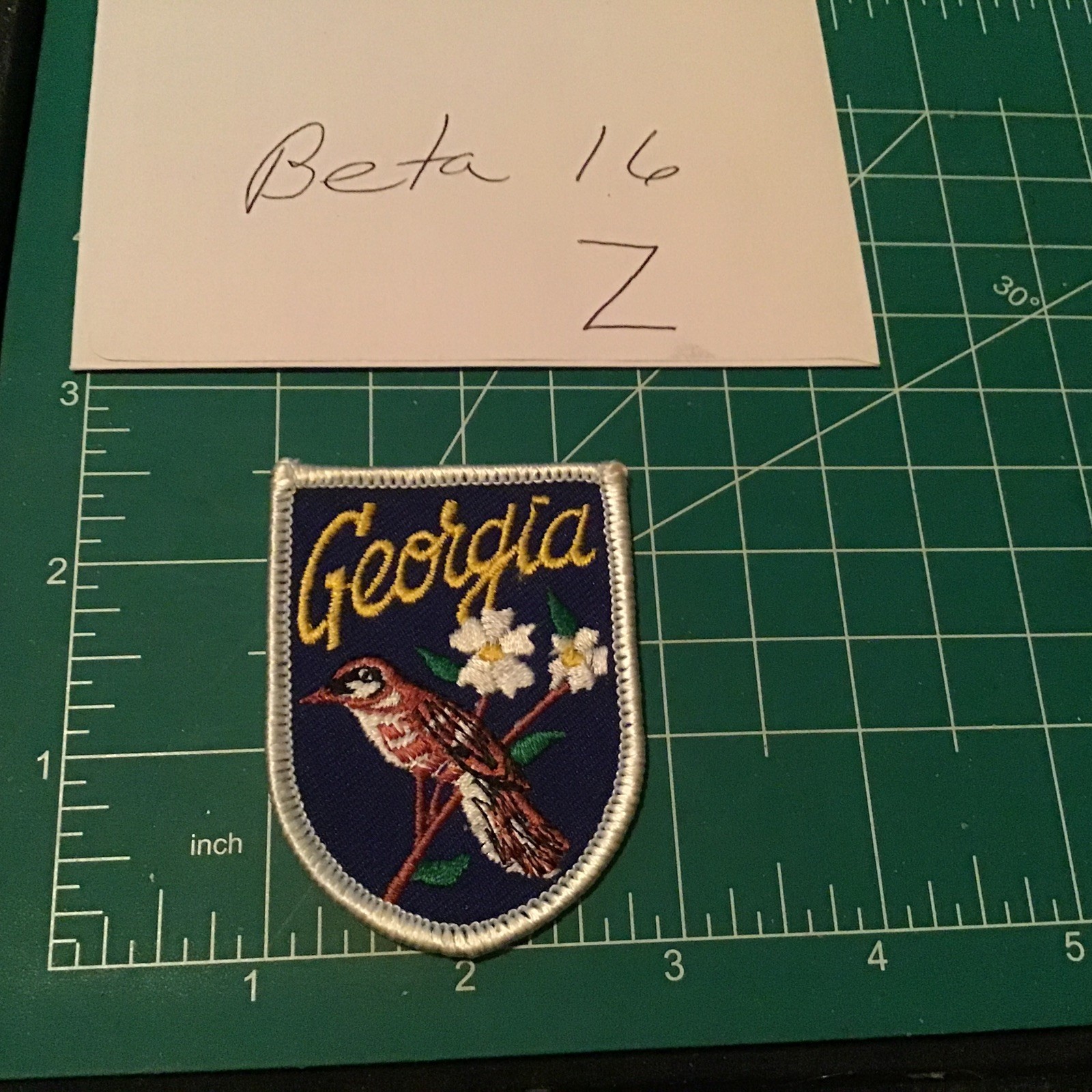 VTG Voyager GEORGIA “Brown Thrasher” Iron On Patch