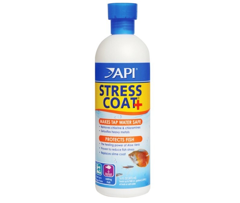 API STRESS COAT Aquarium Water Conditioner 16-Ounce Bottle??