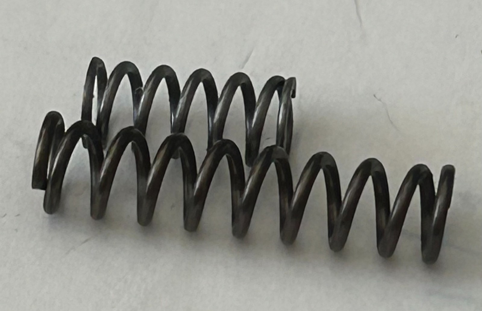 554076 Spring