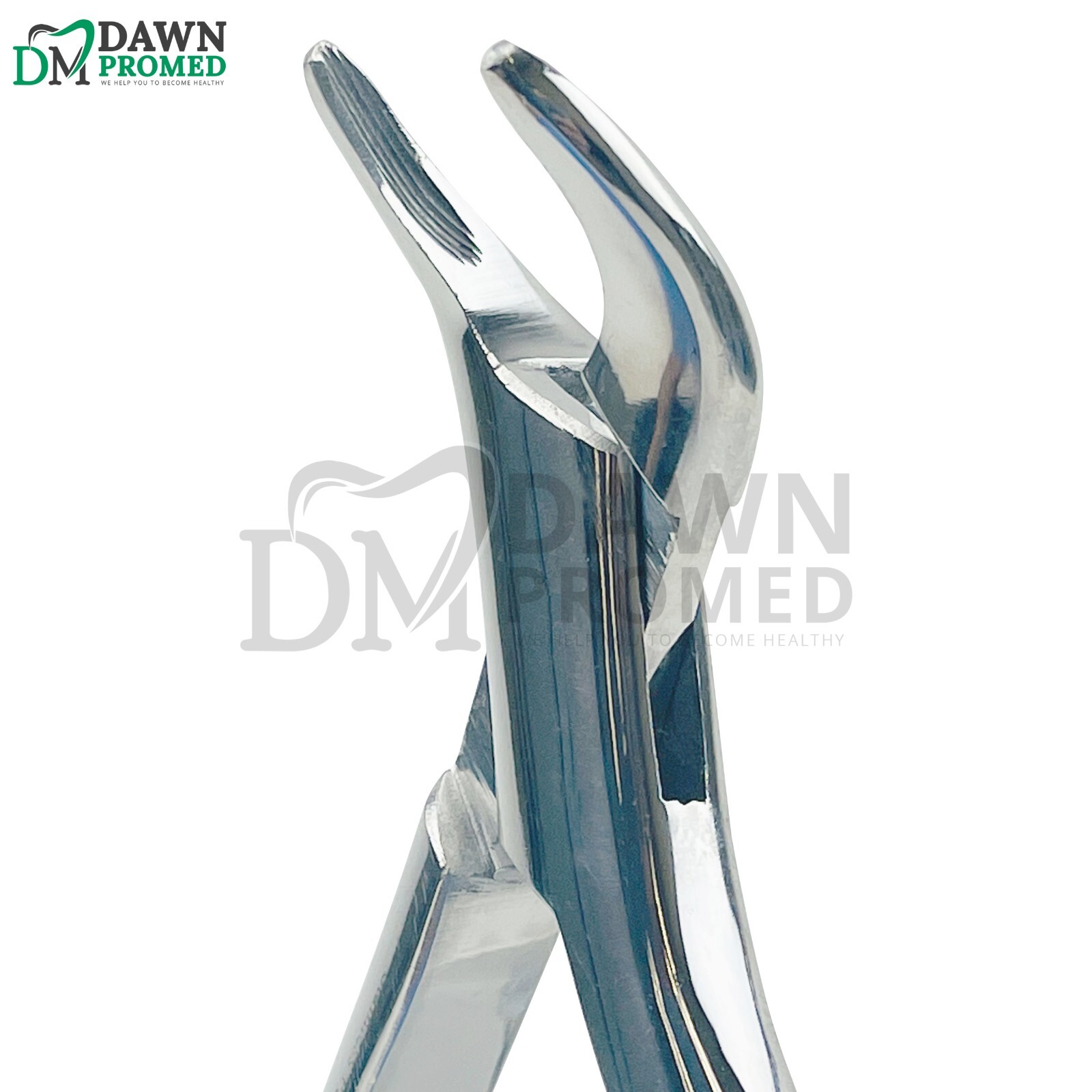 Dental Root Extracting Forceps #103 Lower Incision Premolar Teeth German Grade
