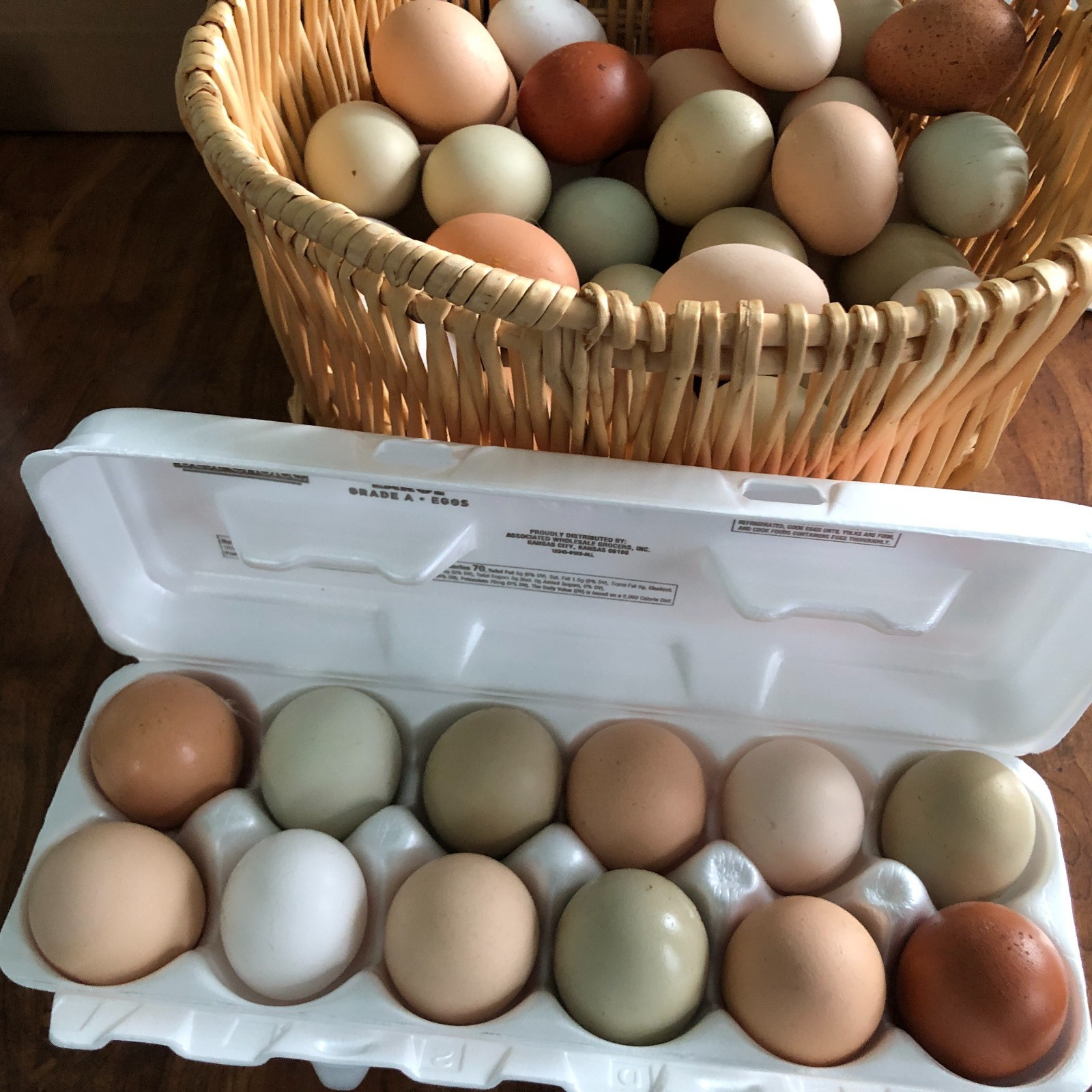 11+ Fertile Chicken Hatching Eggs BarnyardMix/Crested/Easter/Rare Breed Possible