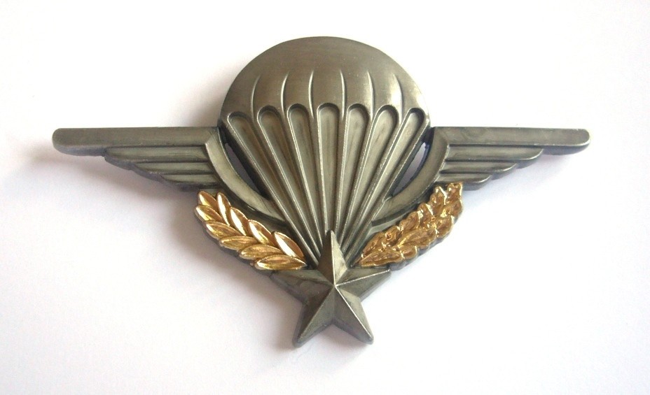 France French Army Airborne parachute wing ~3" No Hallmark badge for US Wear c/b