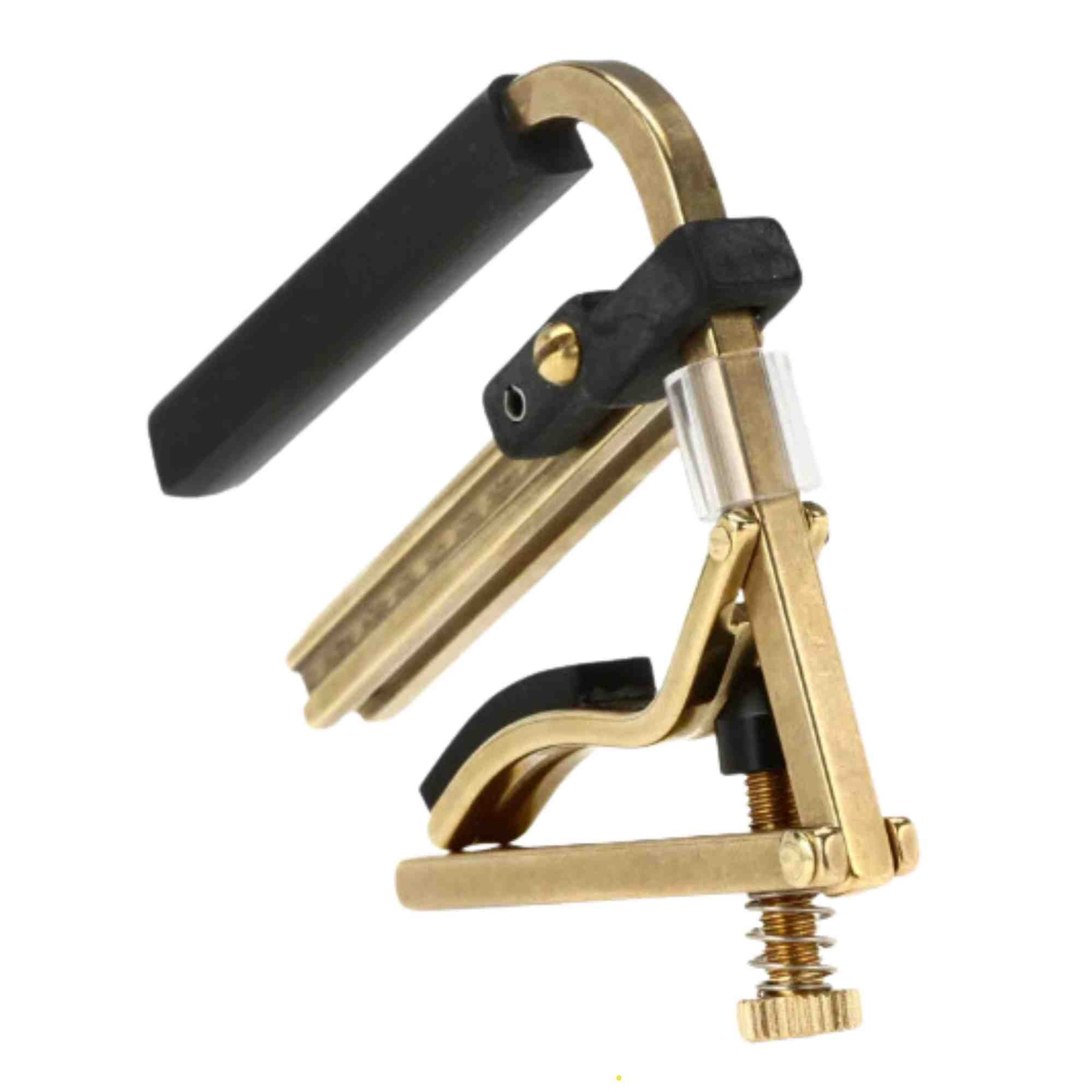 Shubb Dobro Capo