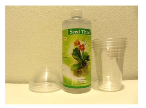 EASY,FUN & PRETTY SEED GERMINATION ON CLEAR GEL 32 oz