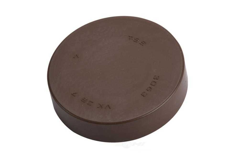Transmission Case Plug