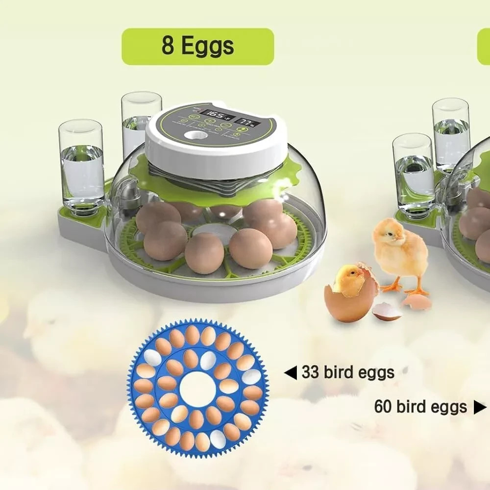 2025 New Fully Automatic Egg Hatcher 8-18 Egg Digital Poultry Hatcher