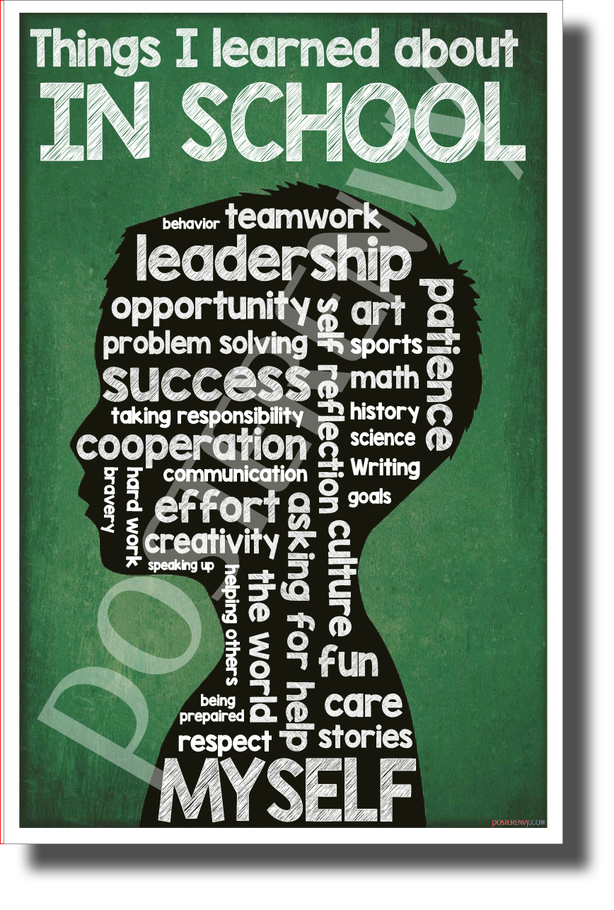 Things I Learned in School (chalkboard) - NEW Motivational POSTER (cm1182)