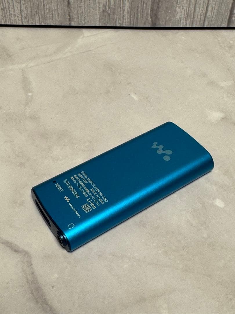 Sony Walkman NW-E062 2GB Digital Audio Player