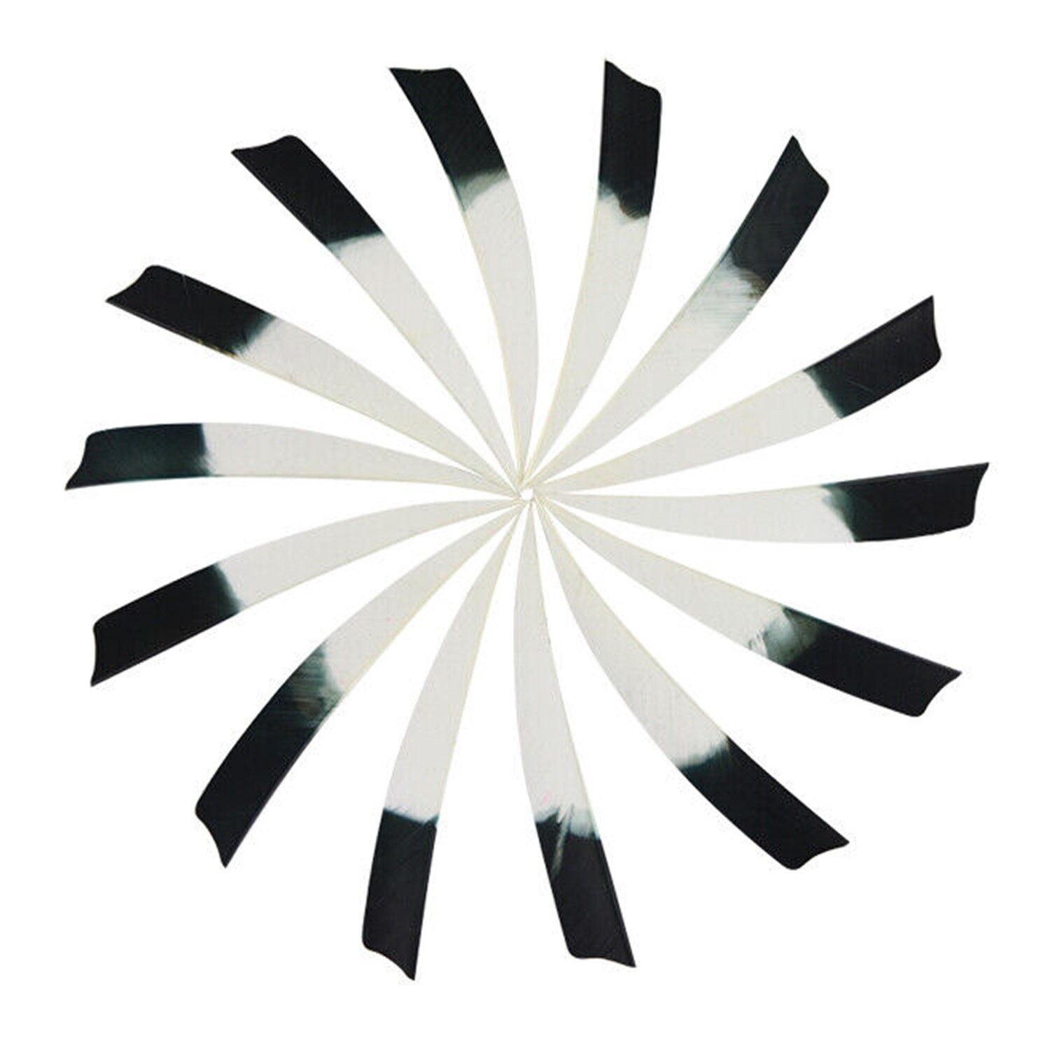 5" Archery Arrow Fletching Shield Turkey Feathers Right Wings Left Wings DIY