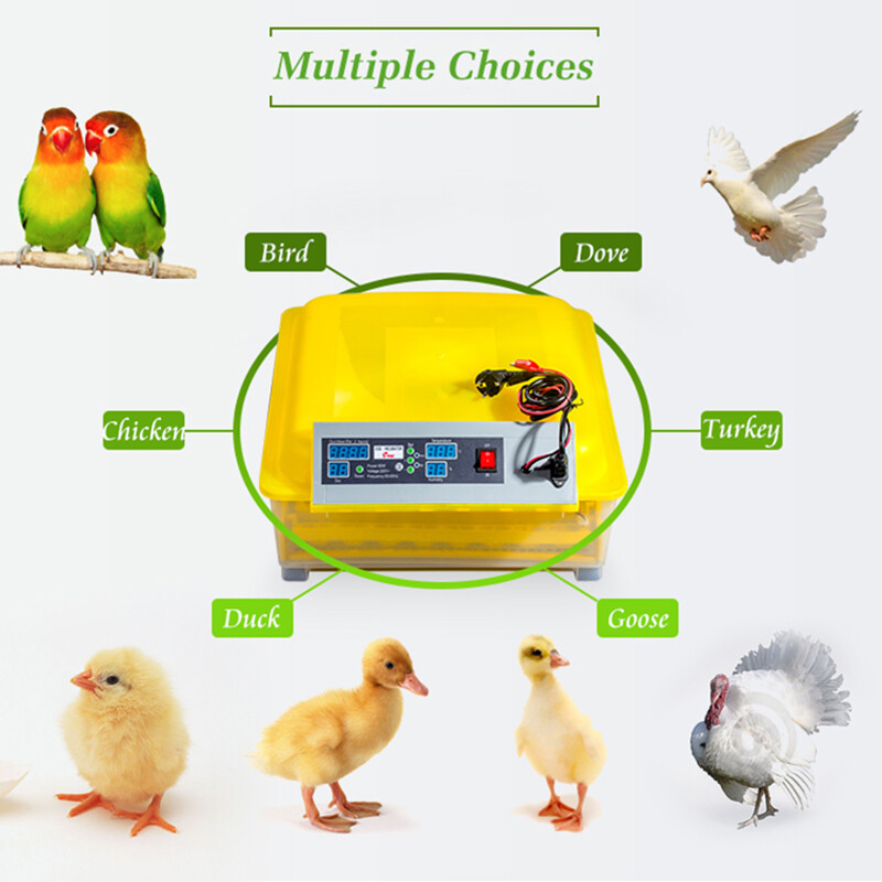 Automatic Digital 96 Eggs Incubator Chicken Hatcher Turning Temperature Control