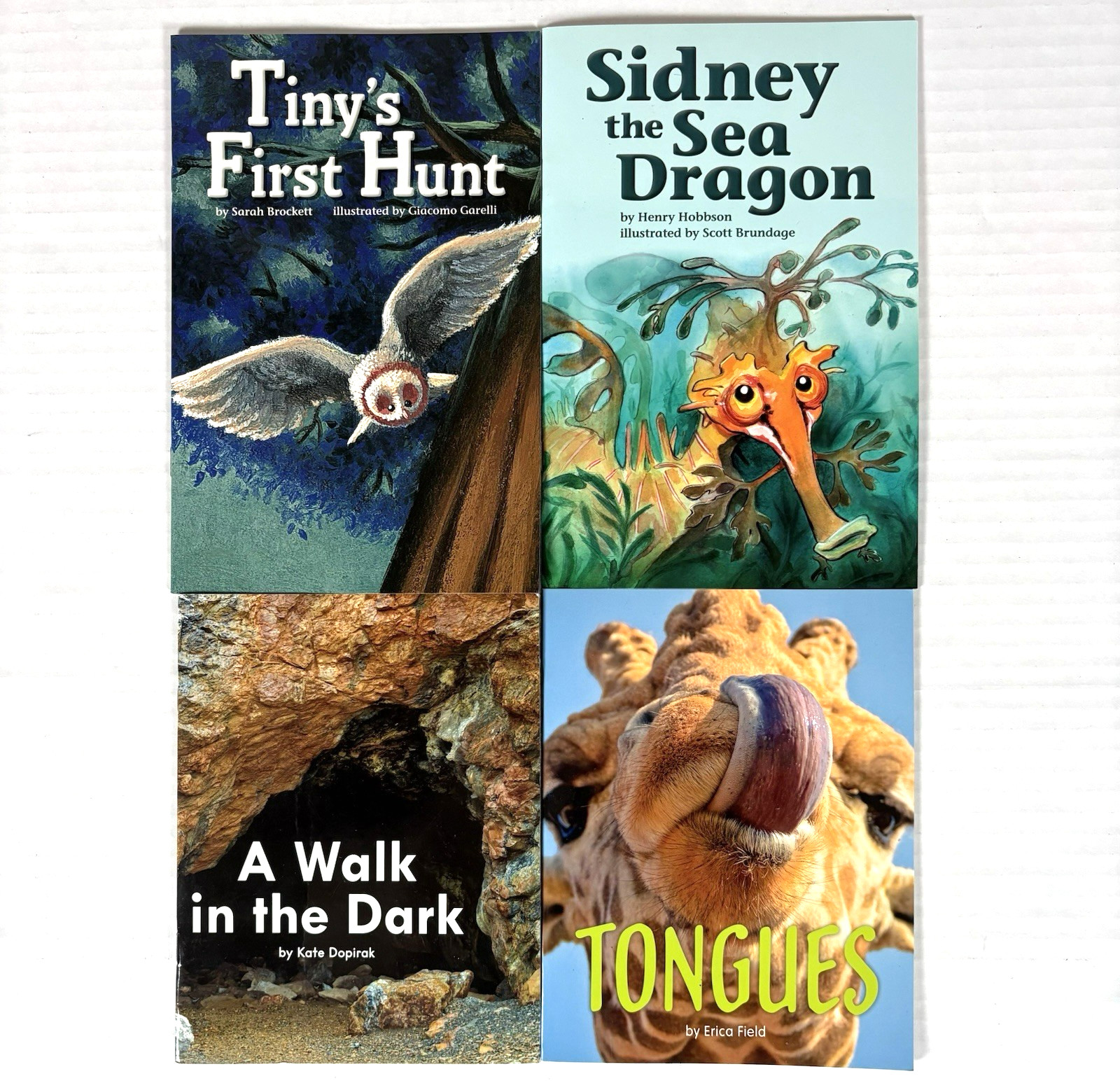 1st Grade Readers Multi-Level Reading Library #3 – 24 Homeschool Books