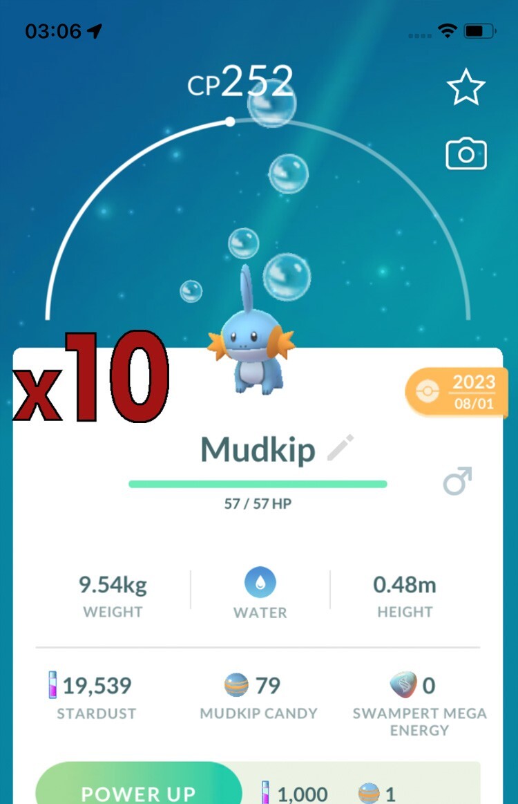 10x Mudkip Pokemon Bundle !! Good Chance of Lucky and Good IVs !! Go