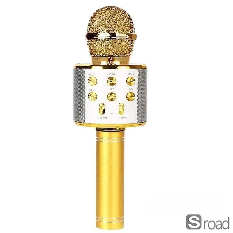 Wireless Bluetooth Karaoke Microphone, 5-in-1 PA System With Voice Effects