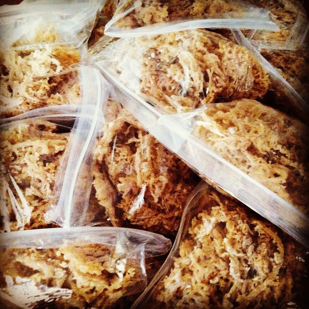 Jamaican DR SEBI Irish Moss Sea Moss 1 lb | Raw Wild Crafted VEGAN Superfood