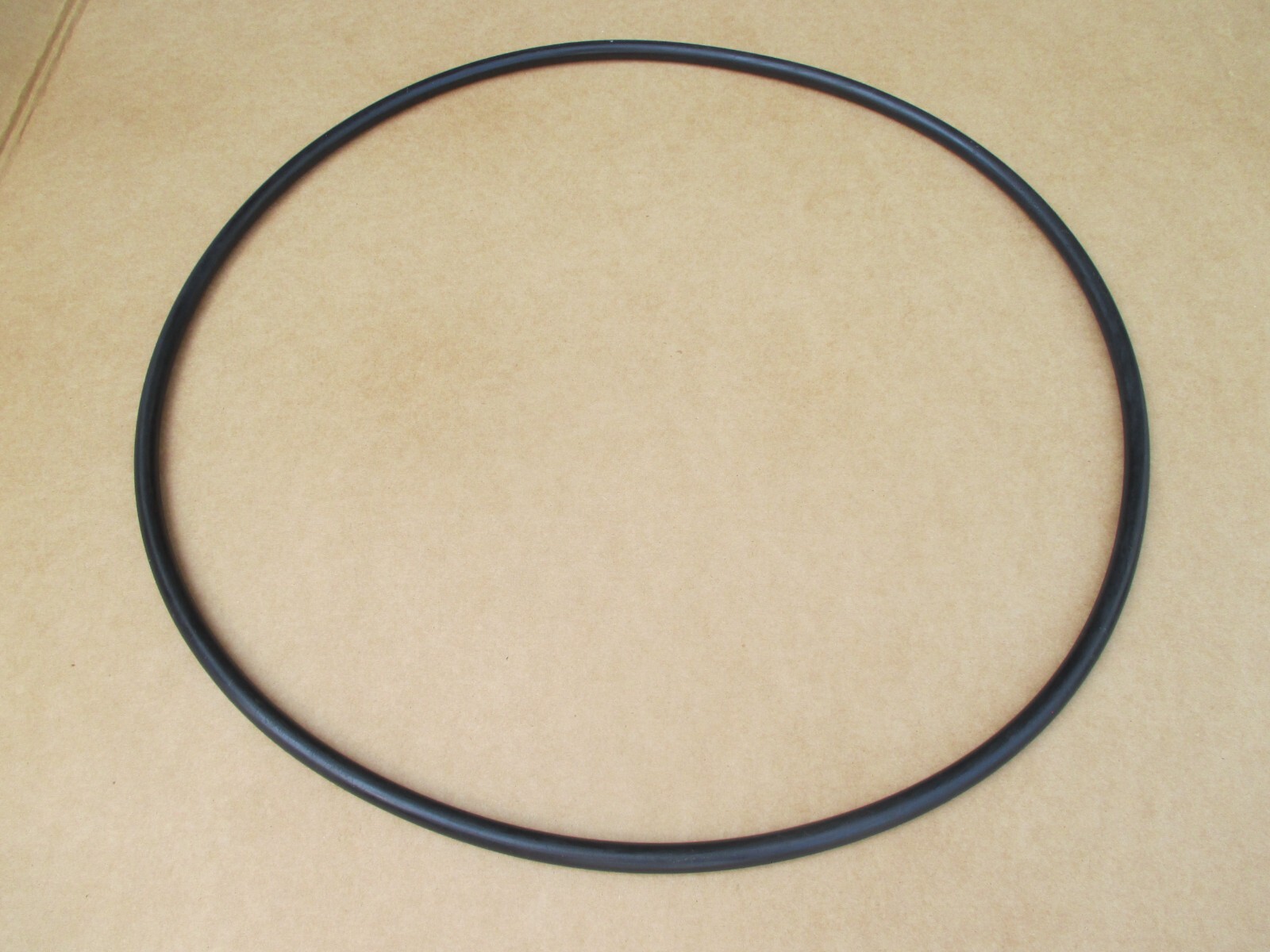 39010200 Tank O-Ring for Clean & Clear Plus, FNS Plus and Quad DE Filters