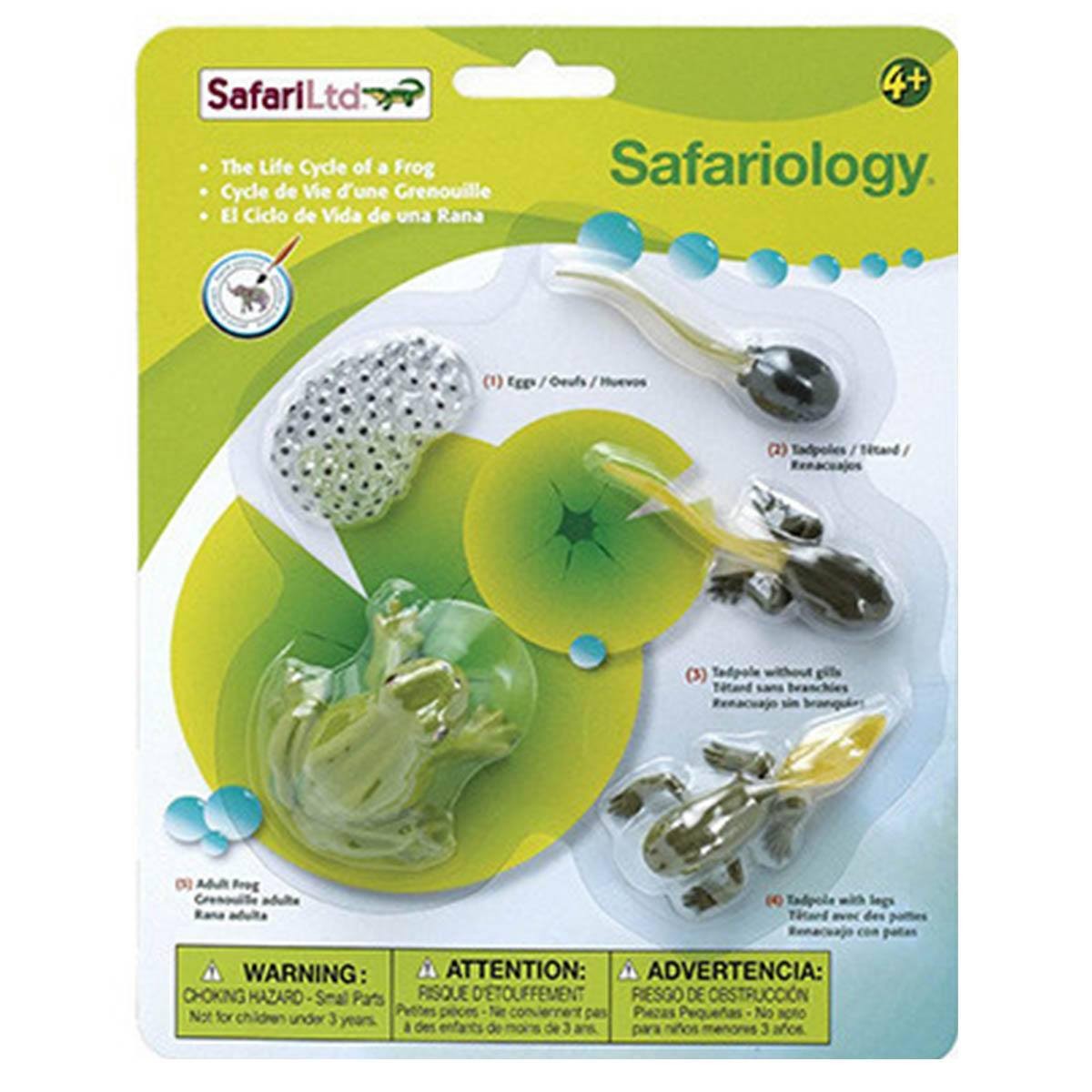 Life Cycle of a Frog Set Safari Ltd NEW Toys Collectors Kids Educational Animals