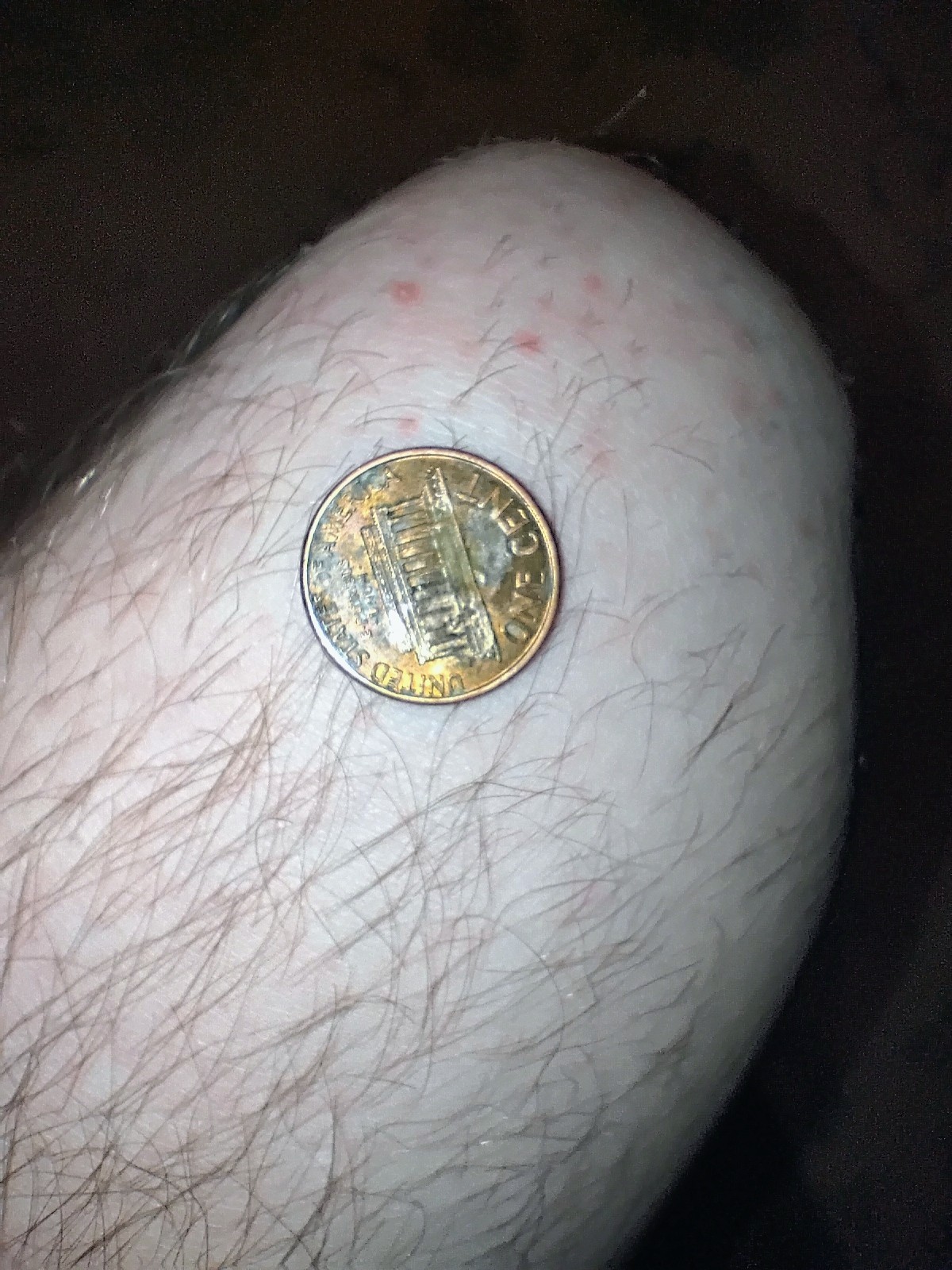 1991 D Lincoln Penny DDO