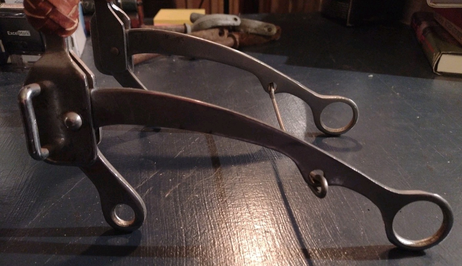 Hackamore Bit with a Braided Noseband