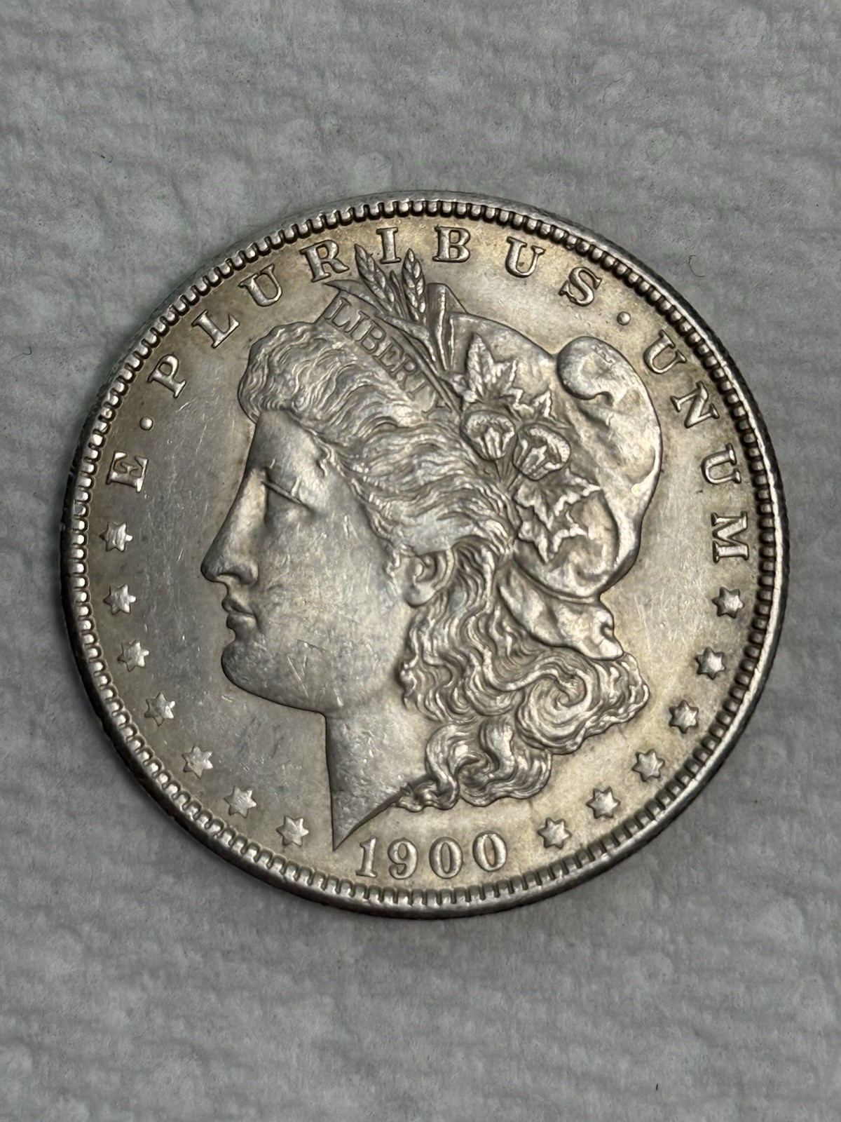 1900 MORGAN DOLLAR No Mint Mark (Silver)
